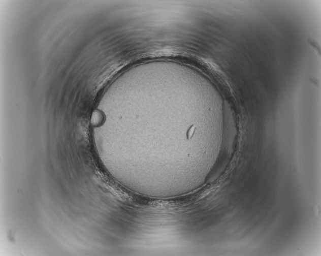 X0000099381217200805291121