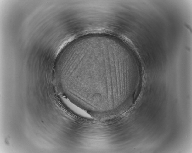 X0000099381218200805291121