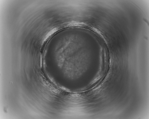 X0000099381219200805291121