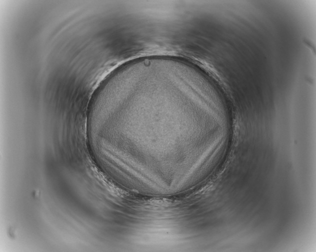 X0000099381220200805291121