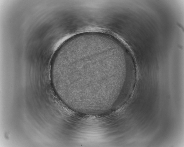 X0000099381222200805291121