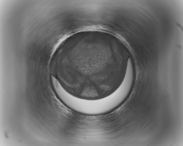 X0000099381224200805291121