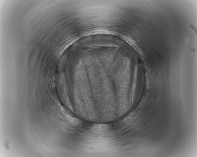 X0000099381225200805291121