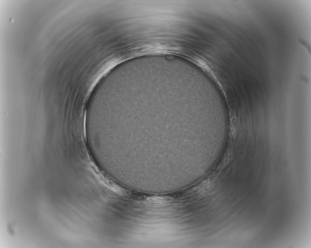 X0000099381227200805291121