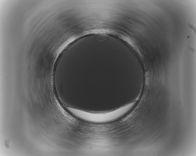 X0000099381229200805291121