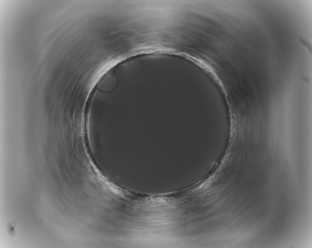 X0000099381231200805291122