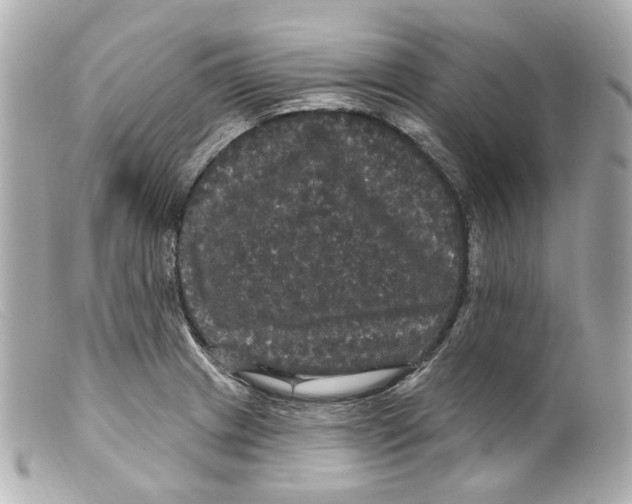 X0000099381233200805291122