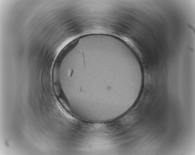 X0000099381238200805291122