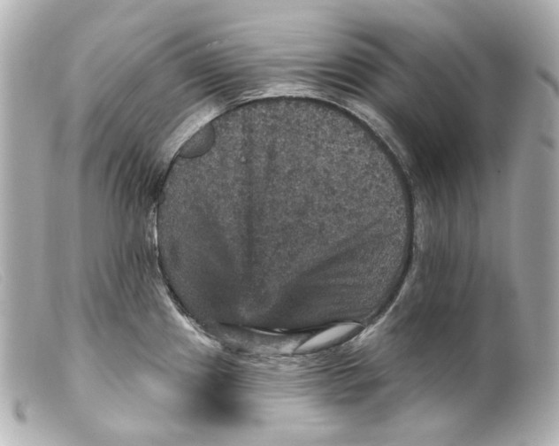 X0000099381241200805291122