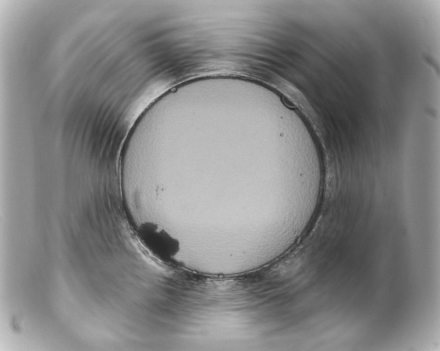 X0000099381242200805291122