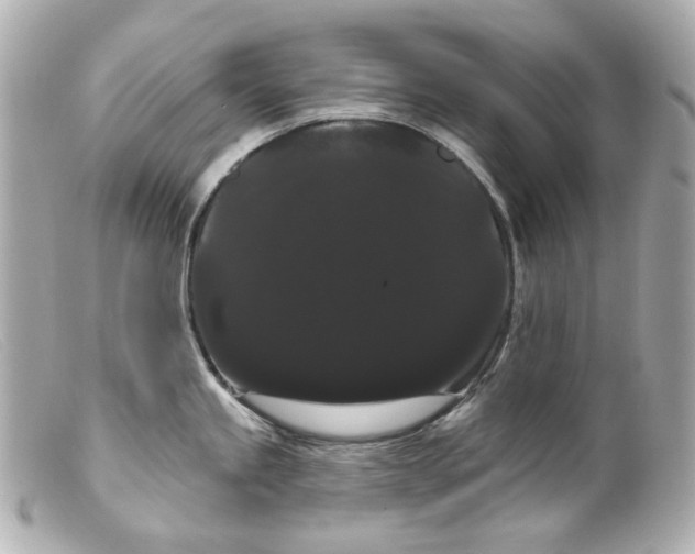 X0000099381245200805291122