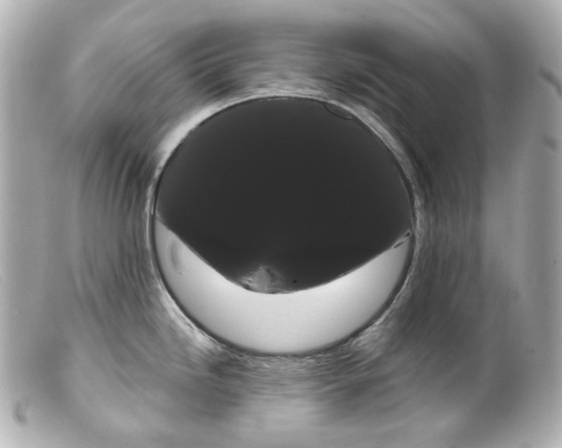 X0000099381246200805291122