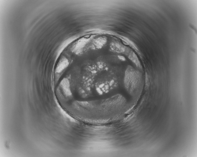 X0000099381247200805291122