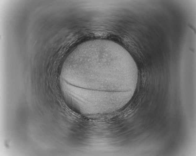 X0000099381249200805291121