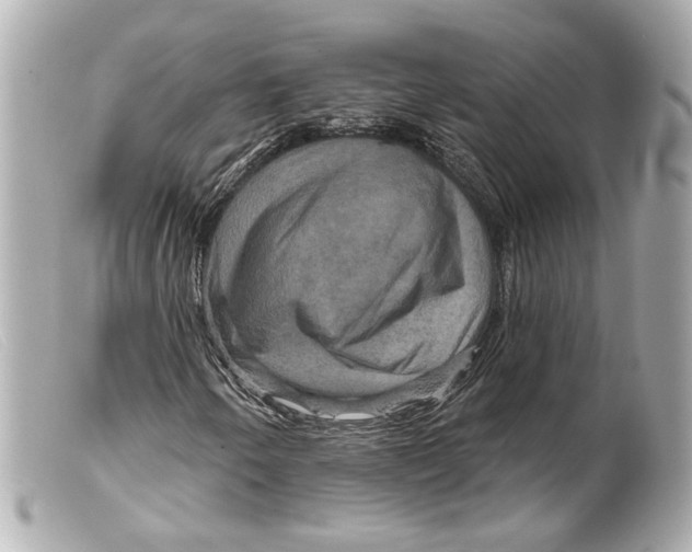 X0000099381250200805291121