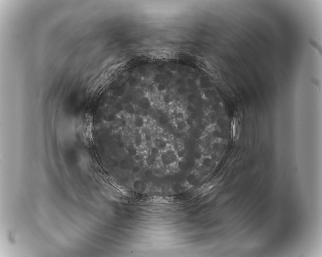 X0000099381251200805291121