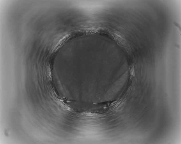 X0000099381252200805291121