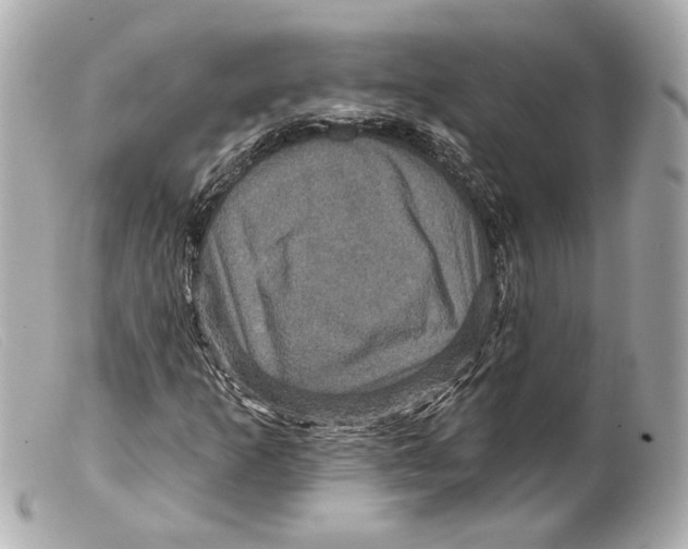 X0000099381253200805291121