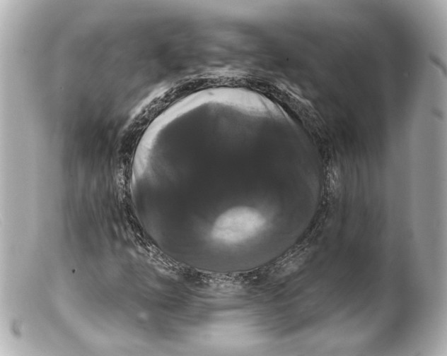 X0000099381254200805291121