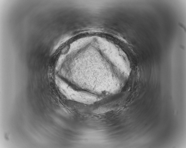 X0000099381255200805291121