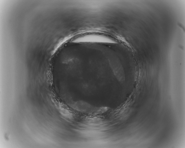 X0000099381256200805291121