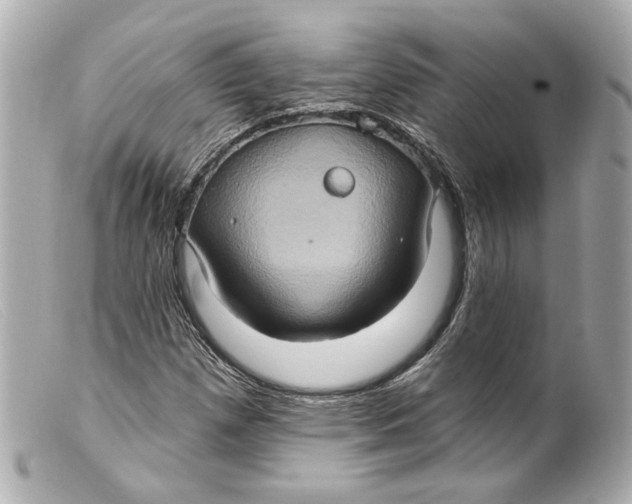 X0000099381257200805291121