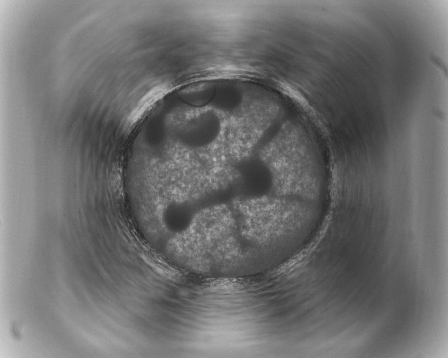 X0000099381259200805291121