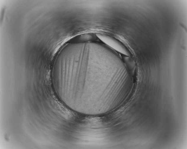 X0000099381260200805291121