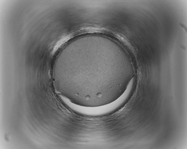 X0000099381261200805291121