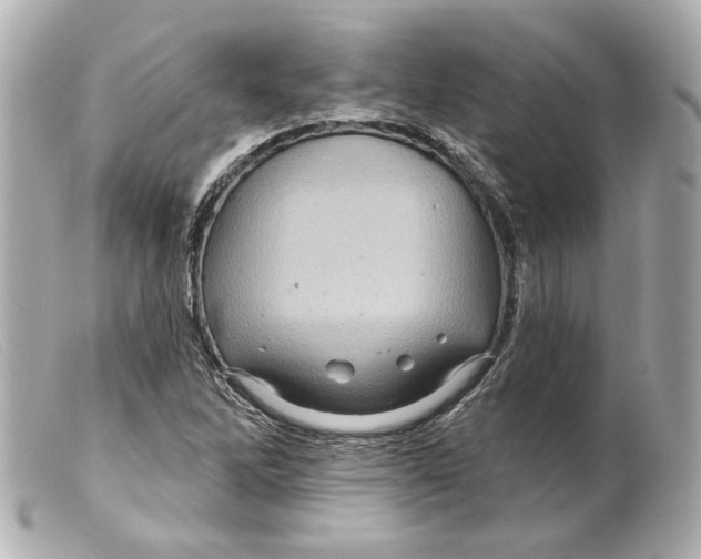 X0000099381262200805291121