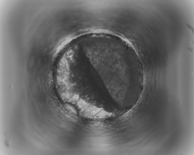 X0000099381263200805291121