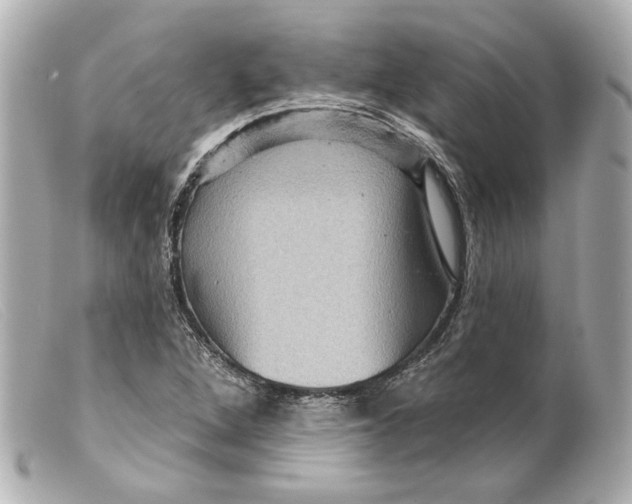 X0000099381264200805291121