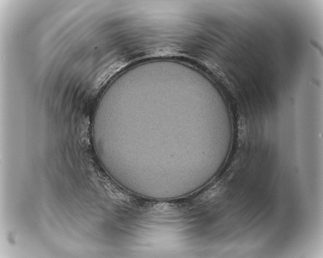 X0000099381265200805291121