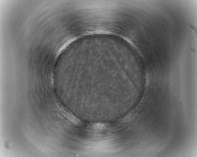 X0000099381266200805291121