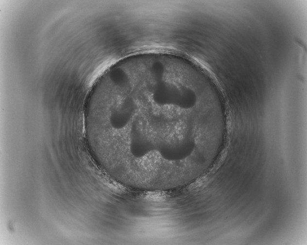 X0000099381267200805291121