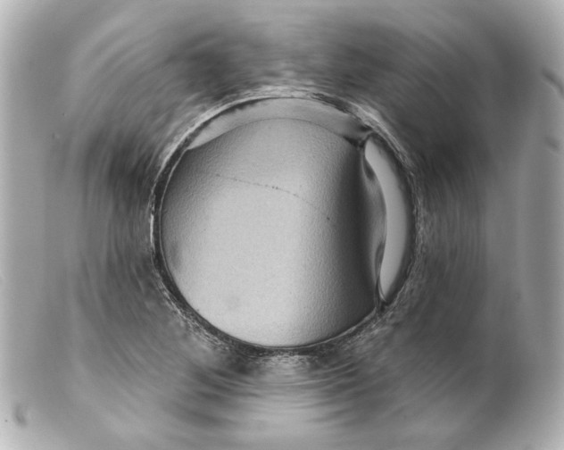 X0000099381268200805291121