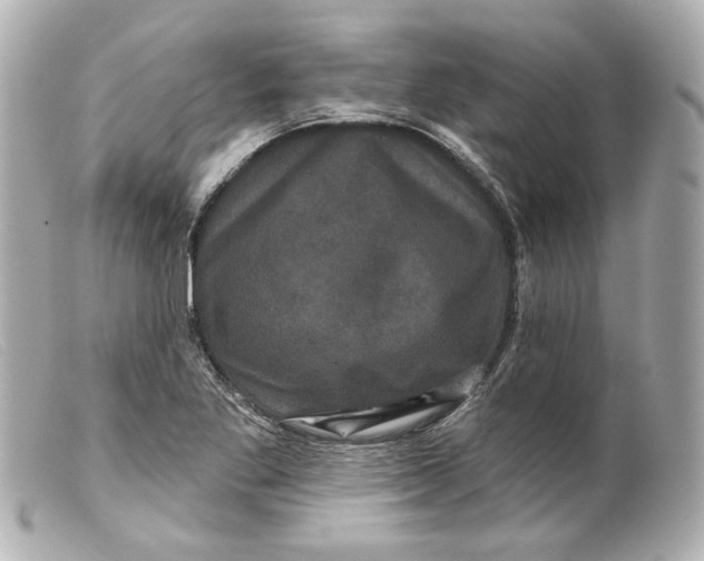 X0000099381269200805291121