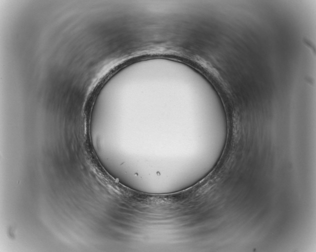 X0000099381270200805291121