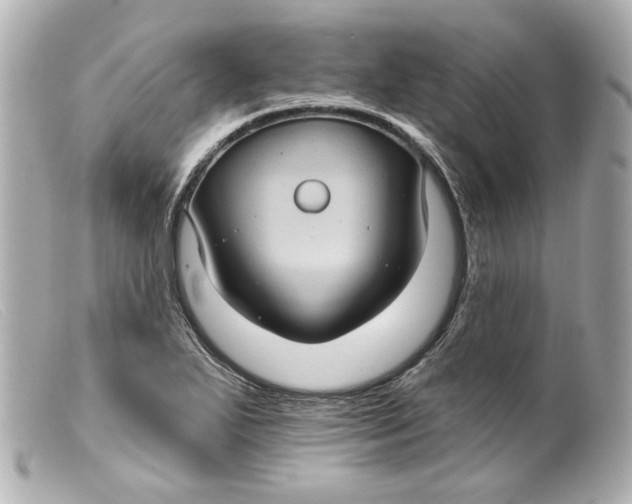 X0000099381271200805291121