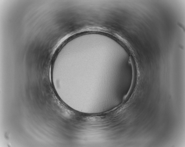 X0000099381272200805291121