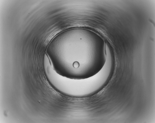 X0000099381273200805291121