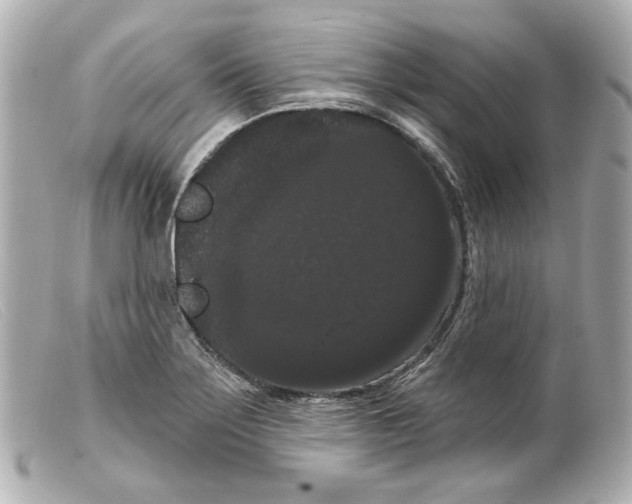 X0000099381275200805291121