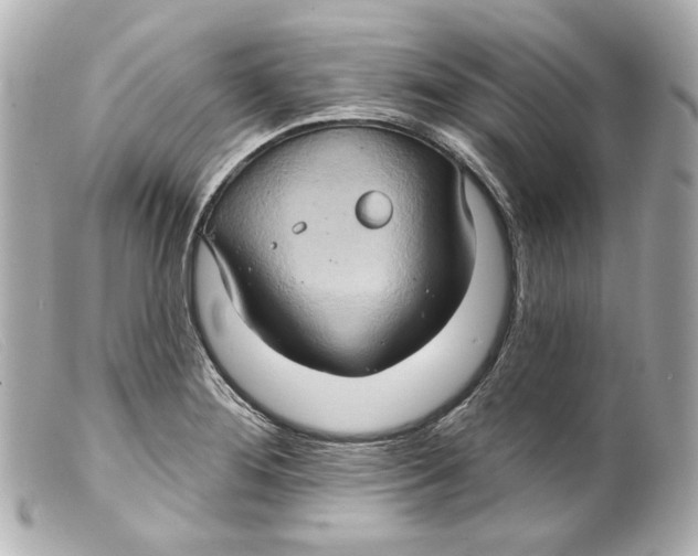 X0000099381276200805291121