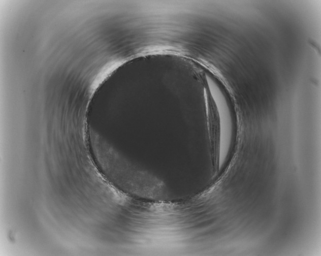 X0000099381277200805291121