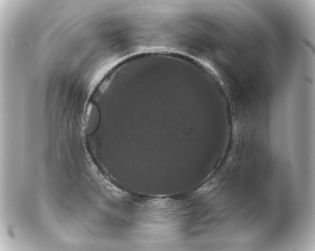 X0000099381279200805291121