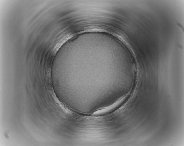 X0000099381281200805291121