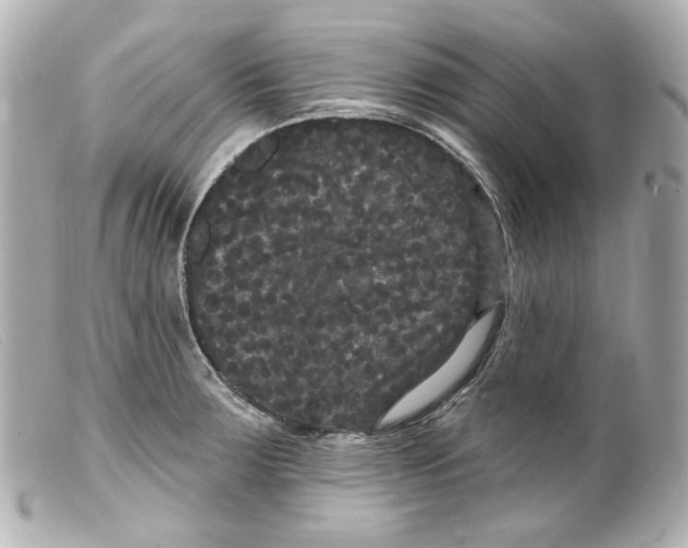 X0000099381283200805291121