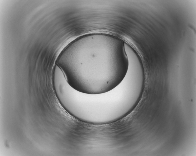 X0000099381284200805291121