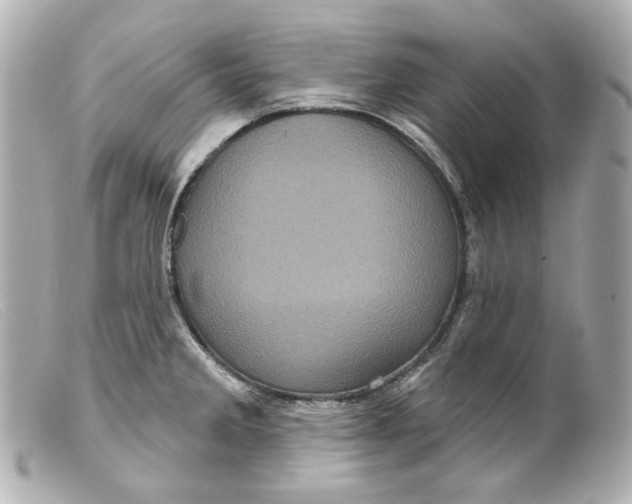 X0000099381285200805291121