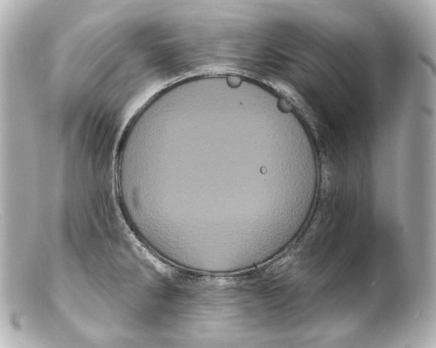 X0000099381286200805291121